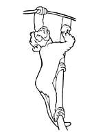 coloriage singe grimpant a l arbre